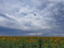 компания по продаже удобрений и агродронов Агросфера в Воронеже