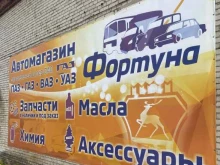 магазин автозапчастей и автотоваров Фортуна в Северске