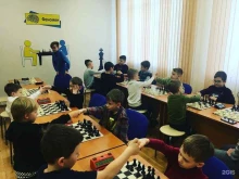 школа шахмат Феномен в Белгороде