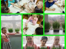Детские сады Детский сад №222 комбинированного вида в Краснодаре