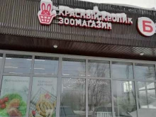 сеть зоомагазинов Красный кролик в Томске