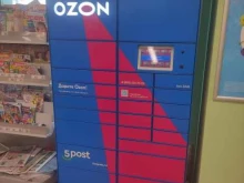 автоматизированный пункт выдачи Ozon box в Воскресенске