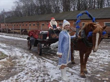 Животноводство Прилепский племенной конный завод в Туле