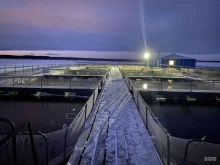 Животноводство Югорский рыбоводный завод в Ханты-Мансийске