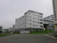 школа искусств и гуманитарных наук Дальневосточный федеральный университет в Владивостоке