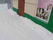 Помощь в организации похорон Ритуальная компания в Тамбове