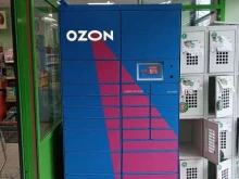 OZON Box, улица Профессора Камая, 8а 