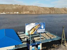 рыбная ферма Руслов в Красноярске