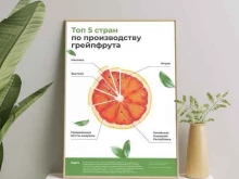 студия дизайна Nami в Туле