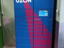 автоматизированный пункт выдачи OZON Box в Казани