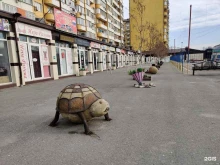 торговый двор М-ШАТ в Махачкале