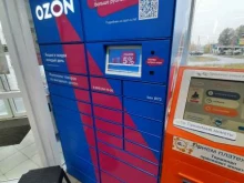 автоматизированный пункт выдачи Ozon box в Омске