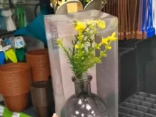 магазин Fix price в Одинцово