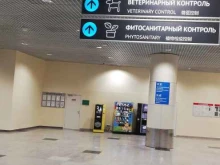 банкомат Тинькофф банк в Домодедово