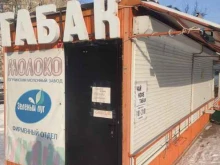 Киоск табачной продукции, Ленинградская, 149 киоск 