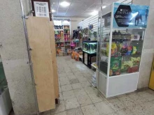 Аквариумы Магазин зоотоваров в Тольятти
