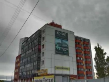 Подарочная упаковка Галерея цветов и подарков в Петрозаводске
