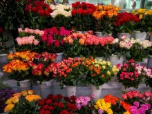 цветочный салон Камелия в Ярославле