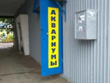 Аквариумы Магазин аквариумов в Туле