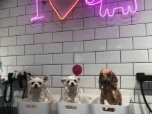 груминг-студия I love my dog в Анапе