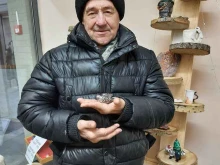 мастерская Авторская керамика в Новосибирске