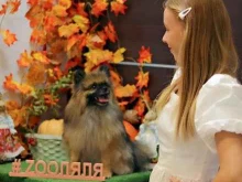 зооцентр Zooляля в Анапе