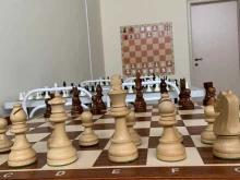 Настольные игры Академия шахмат в Барнауле