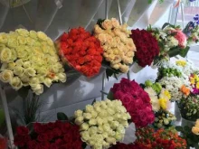 цветочный салон Цветут в Энгельсе