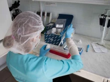 генетическая лаборатория ДНК-теста Витапункт в Кирове