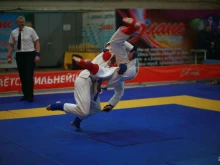 Федерации спорта Алтайская краевая федерация джиу-джитсу в Барнауле