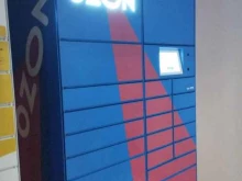 постамат №8795 OZON box в Нижнем Новгороде