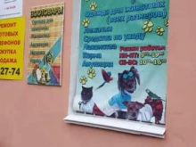 Хвостатый модник, улица Свердлова, 25а 