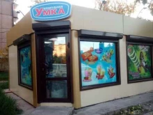 магазин мороженого Умка в Братске