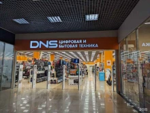 DNS, Большая Разночинная, 16 