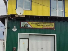 Компьютерная диагностика автомобилей Автомастерская в Павловске