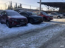 Продажа легковых автомобилей DNAuto в Самаре