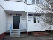 студия рисования Кот Матисс в Домодедово