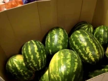 Пятёрочка, Гражданский проспект, 104 к1 