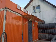Шиномонтаж+, деревня Новогородово, 17г 