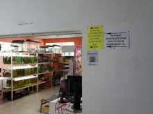 зоомагазин Живой в Тюмени