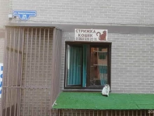 Услуги по уходу за животными Груминг-салон по стрижке кошек в Новороссийске