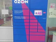 Ozon Box, улица 40 лет Победы, 110 