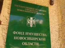 Организация и проведение тендеров / аукционов Фонд имущества Новосибирской области в Новосибирске