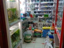 Аквариумы Зоомагазин в Казани