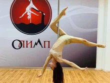 центр воздушных тренировок Олимп в Новороссийске
