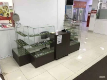 Оптика Green оптика в Сургуте