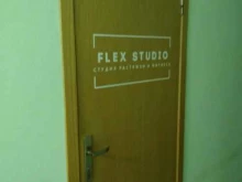 студия растяжки и фитнеса Flex studio в Саратове