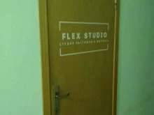 Flex studio, Московская, 53 