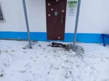Социальные службы Помощь без границ в Нижневартовске