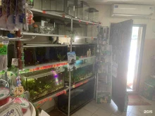 зоомагазин Джунгли в Коломне